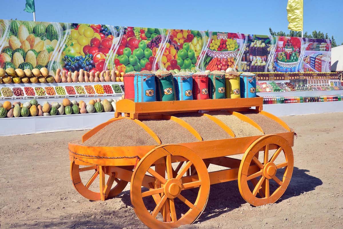 Winter wheat sowing has begun in Turkmenistan